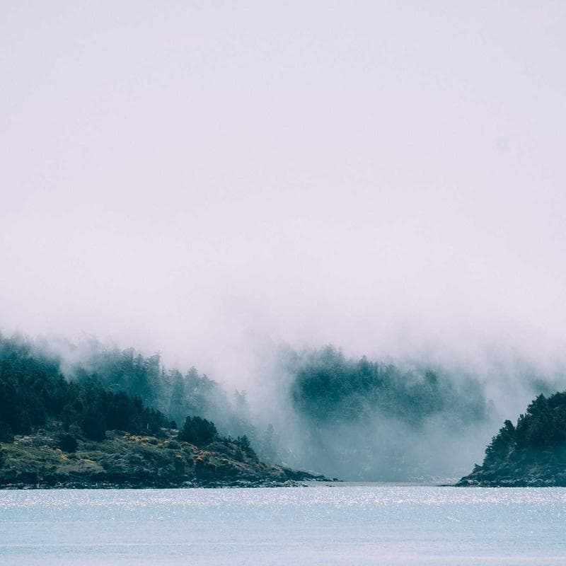 Luna Silverbrook profile image