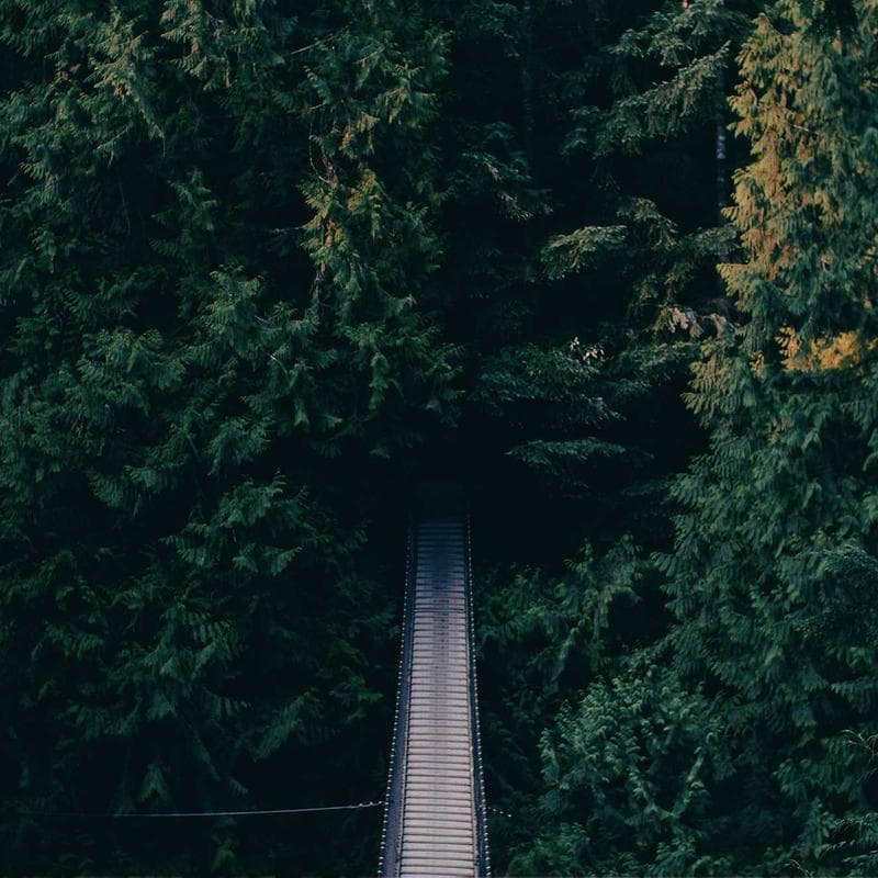 Shadows of the Fallen Crown