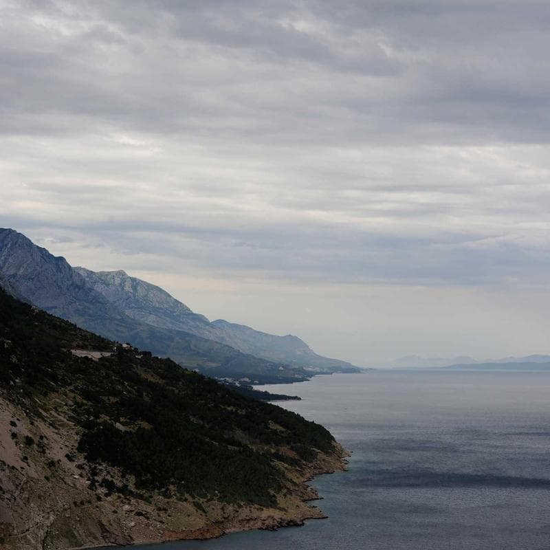 The Con is On featured image