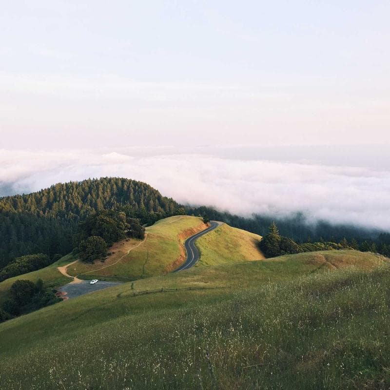 The Hawthorne Files featured image